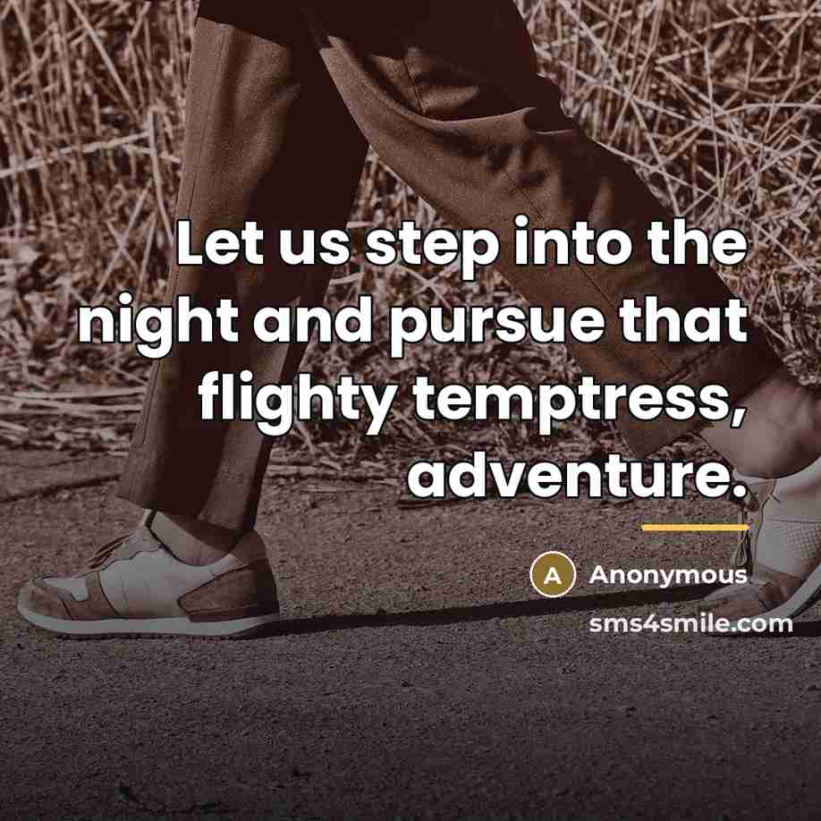 “Let us step into the night and pursue that flighty…” quote by Anonymous