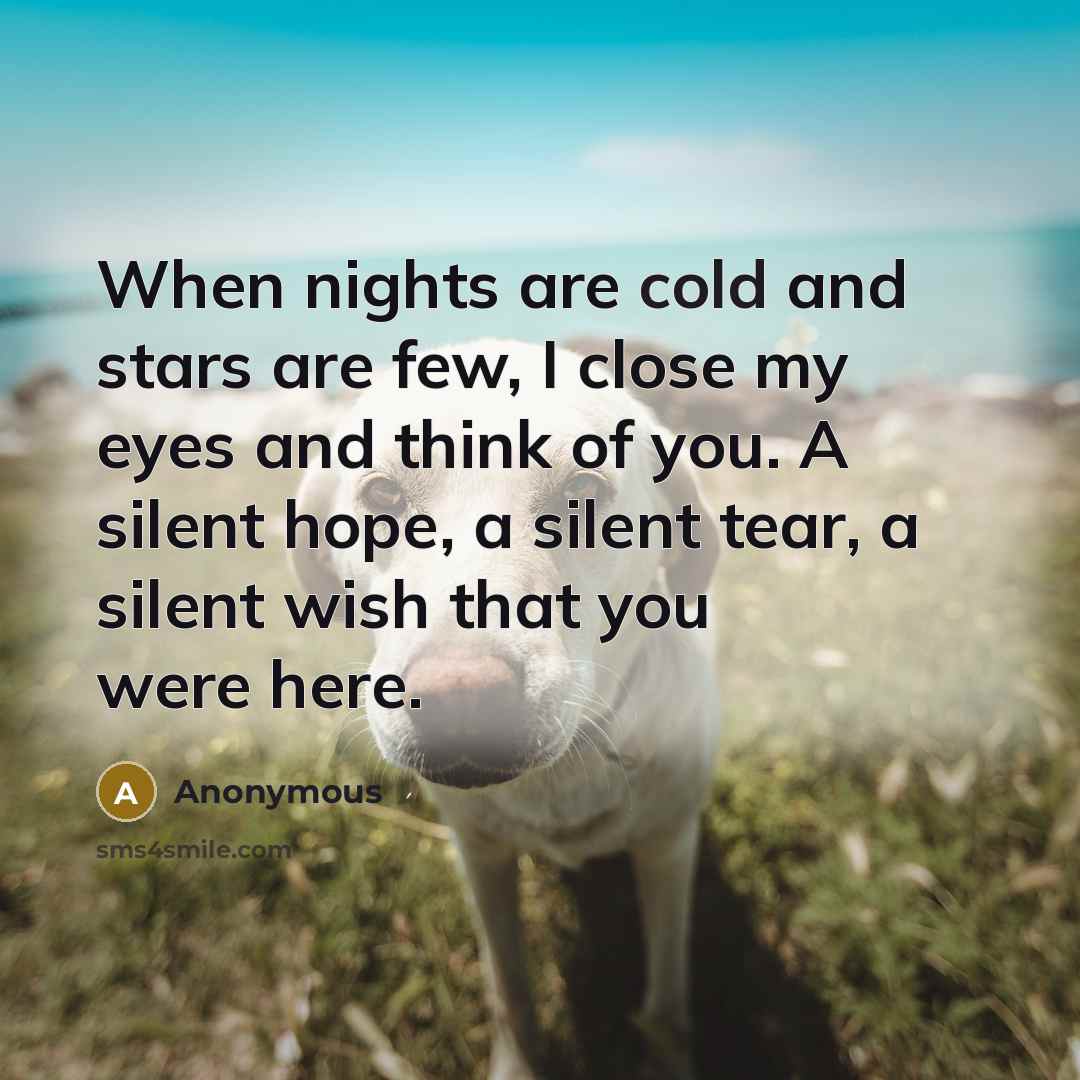 “When nights are cold and stars are few, I close…” quote by Anonymous