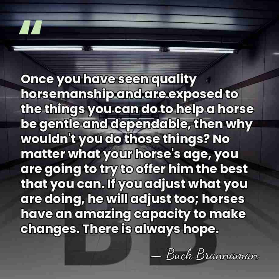 Once you have seen quality horsemanship and are exposed to the things&hellip; - Buck Brannaman