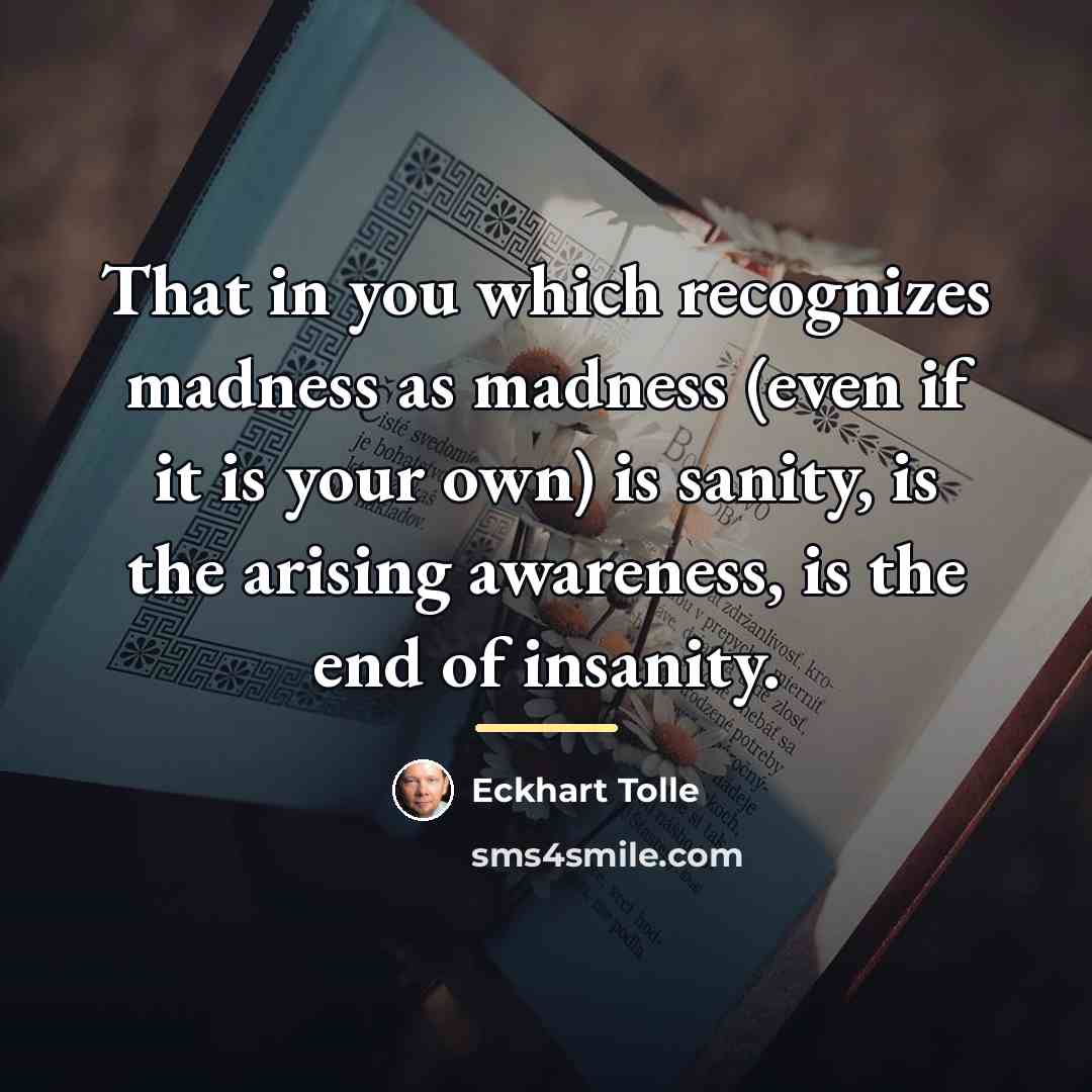 “That in you which recognizes madness as madness (even if…” quote by Eckhart Tolle