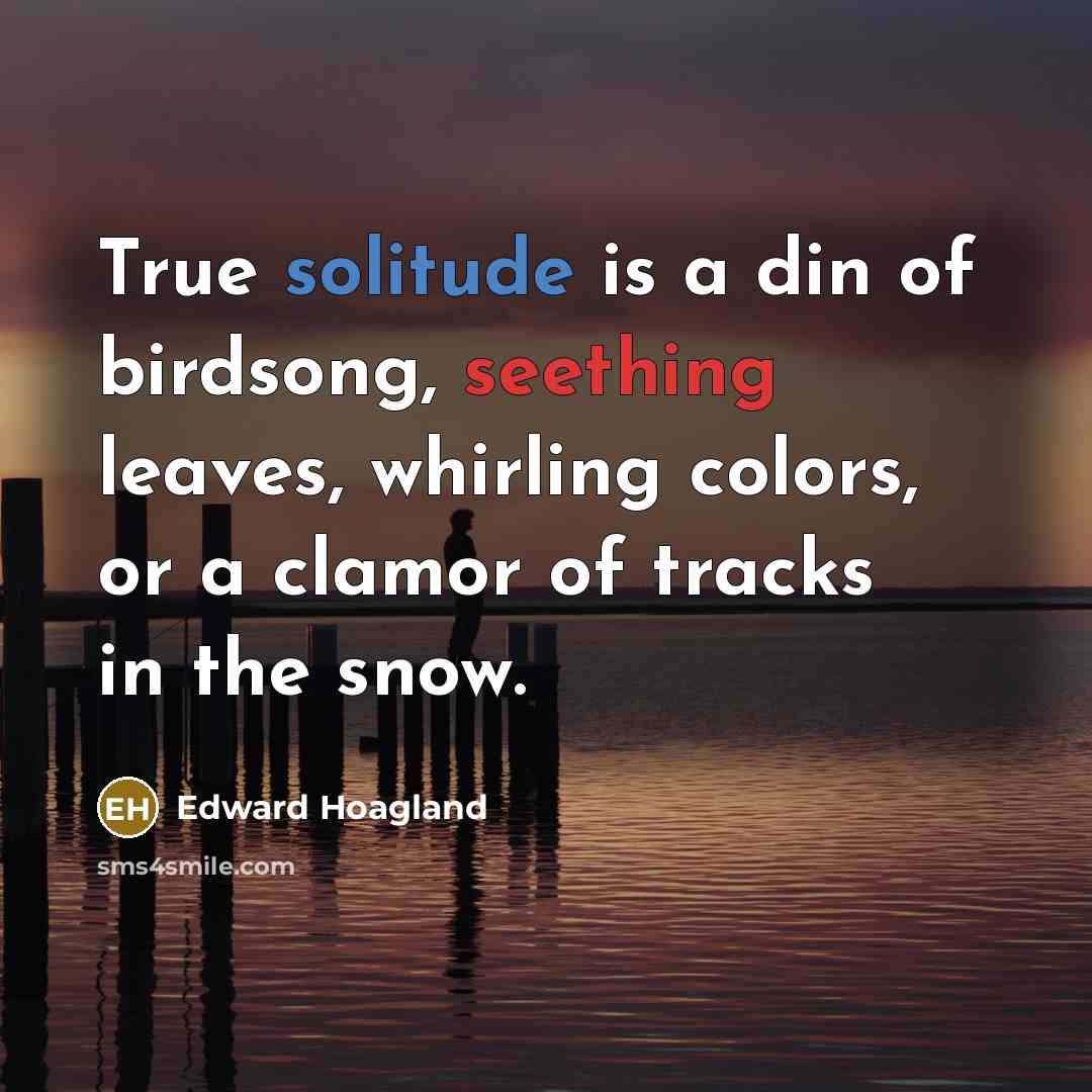 “True solitude is a din of birdsong, seething leaves, whirling…” quote by Edward Hoagland