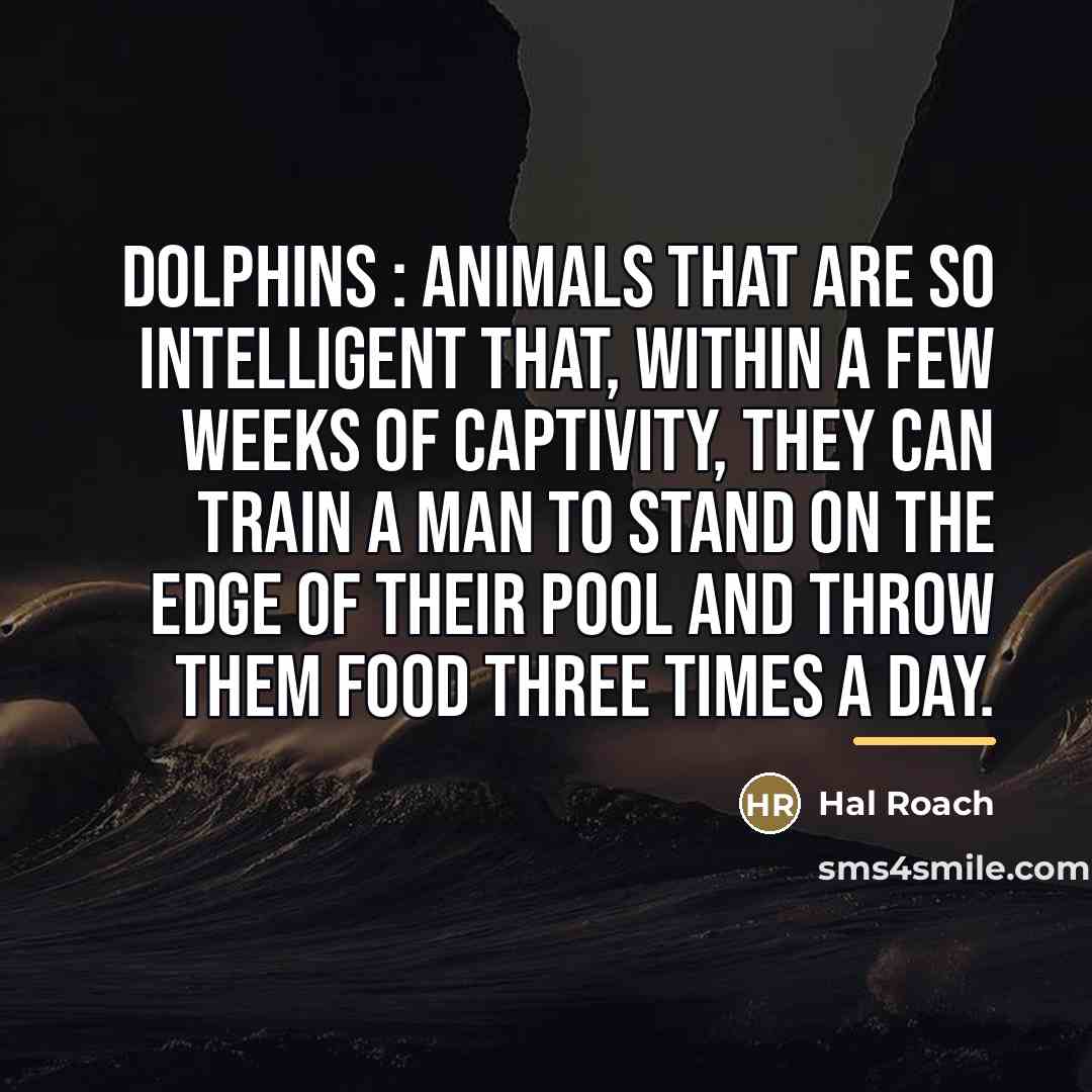 “Dolphins : Animals that are so intelligent that, within a…” quote by Hal Roach