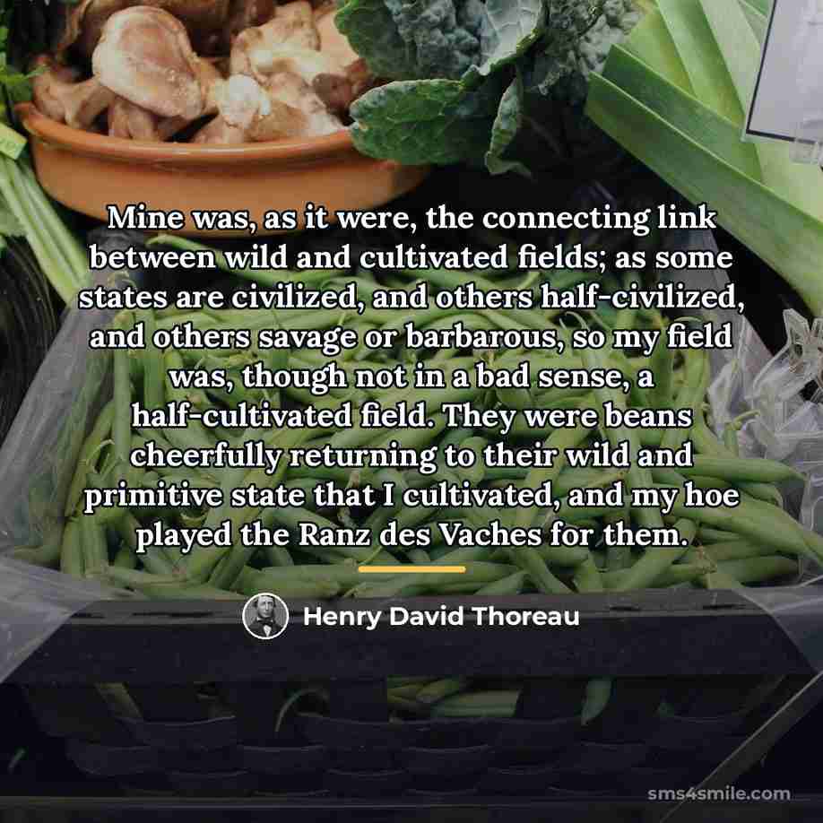 “Mine was, as it were, the connecting link between wild…” quote by Henry David Thoreau
