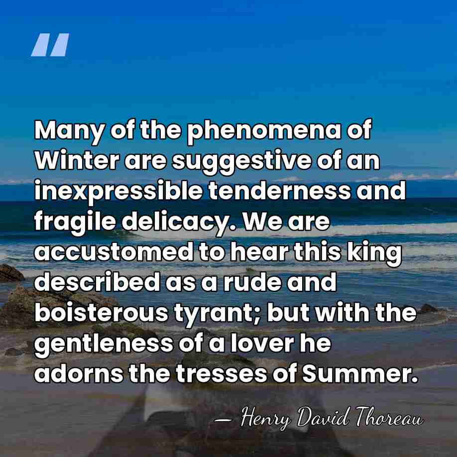 Many of the phenomena of Winter are suggestive of an inexpressible tenderness&hellip; - Henry David Thoreau
