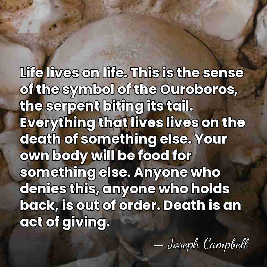Life lives on life. This is the sense of the symbol of&hellip; - Joseph Campbell