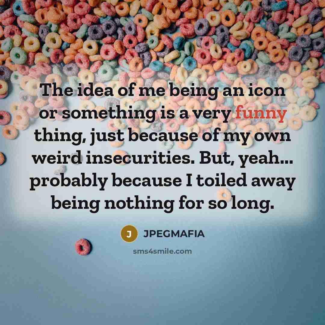 “The idea of me being an icon or something is…” quote by JPEGMAFIA