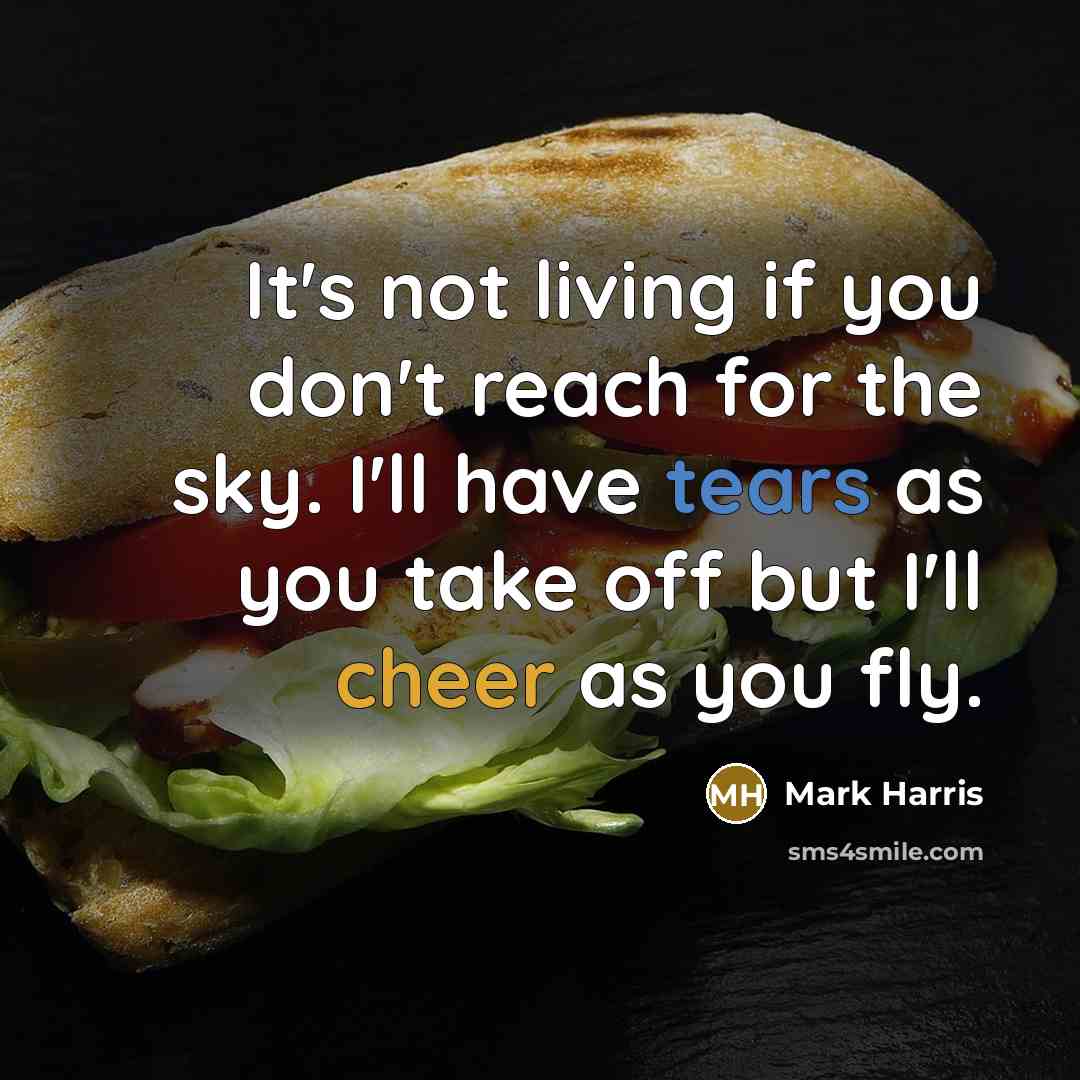 “It's not living if you don't reach for the sky. I'll have tears as you take off but I'll cheer as you fly.” quote by Mark Harris