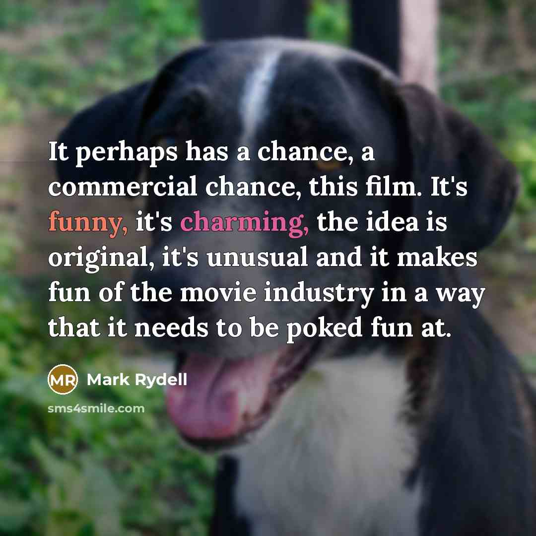 “It perhaps has a chance, a commercial chance, this film.…” quote by Mark Rydell