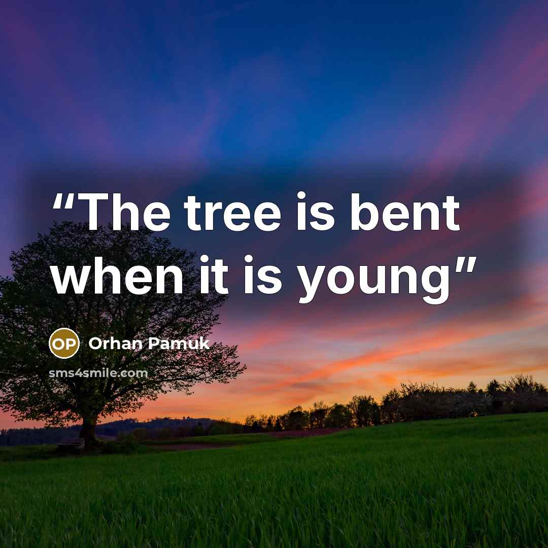 “The tree is bent when it is young” quote by Orhan Pamuk