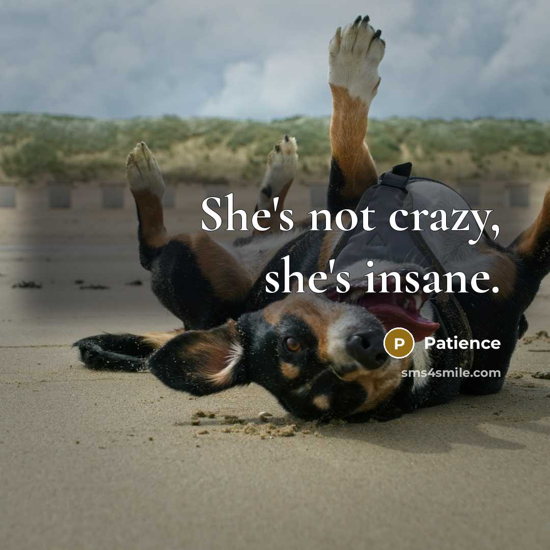 “She's not crazy, she's insane.…” quote by Patience