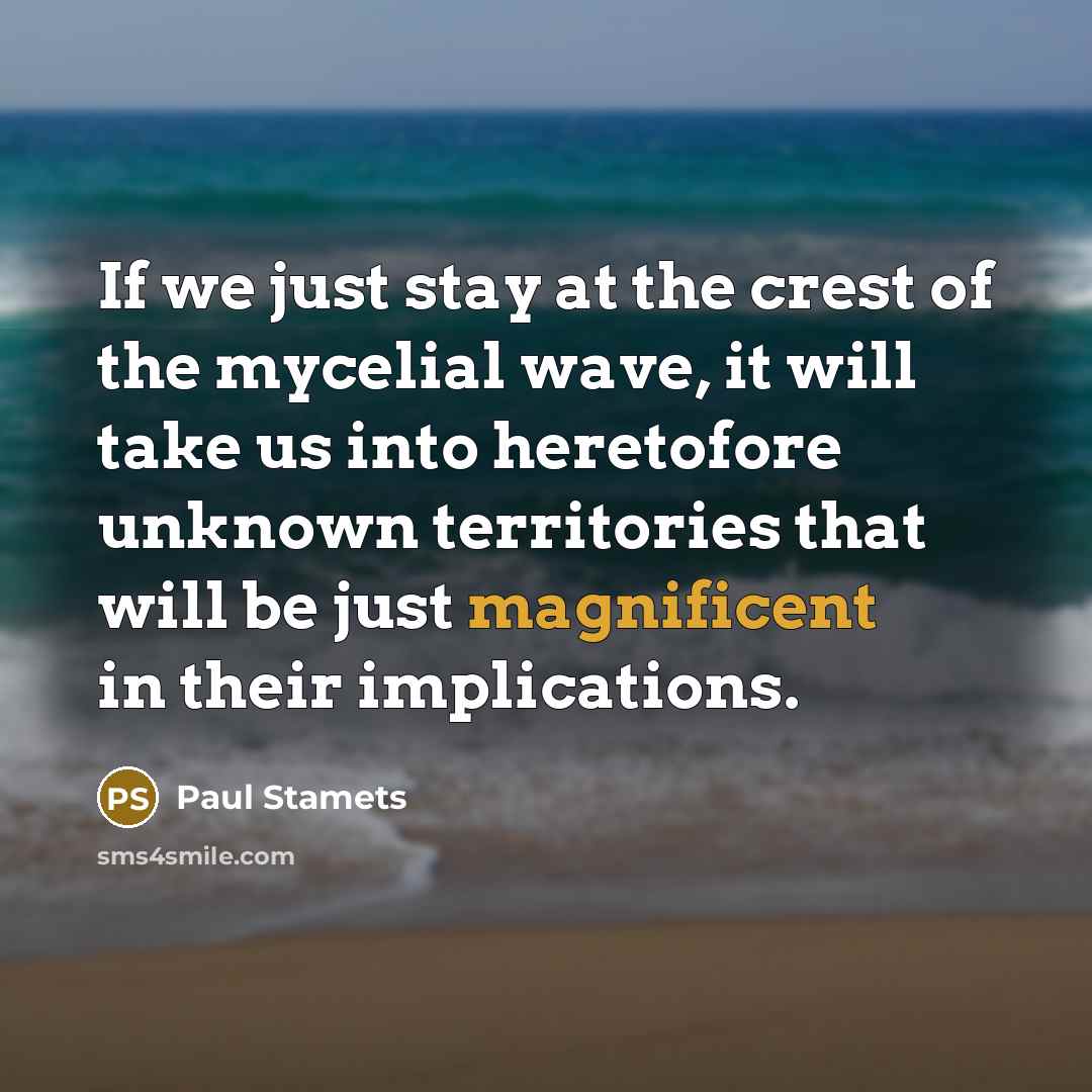 “If we just stay at the crest of the mycelial…” quote by Paul Stamets