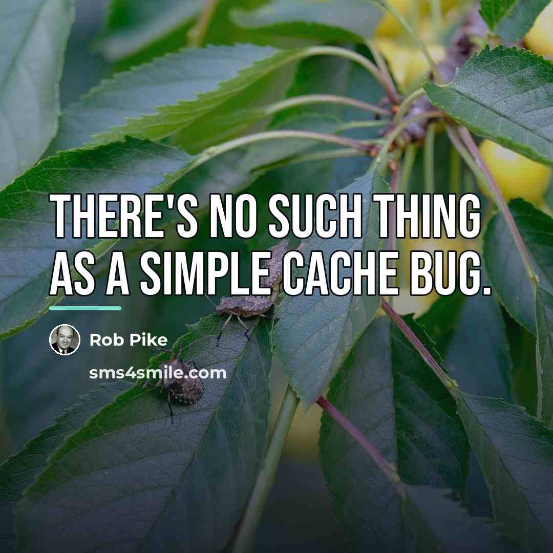 “There's no such thing as a simple cache bug.…” quote by Rob Pike