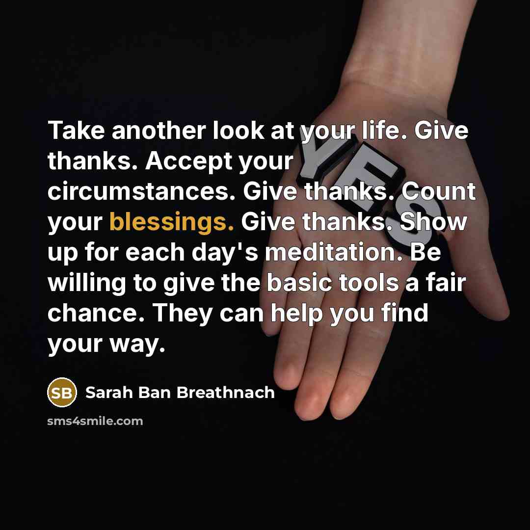 “Take another look at your life. Give thanks. Accept your…” quote by Sarah Ban Breathnach