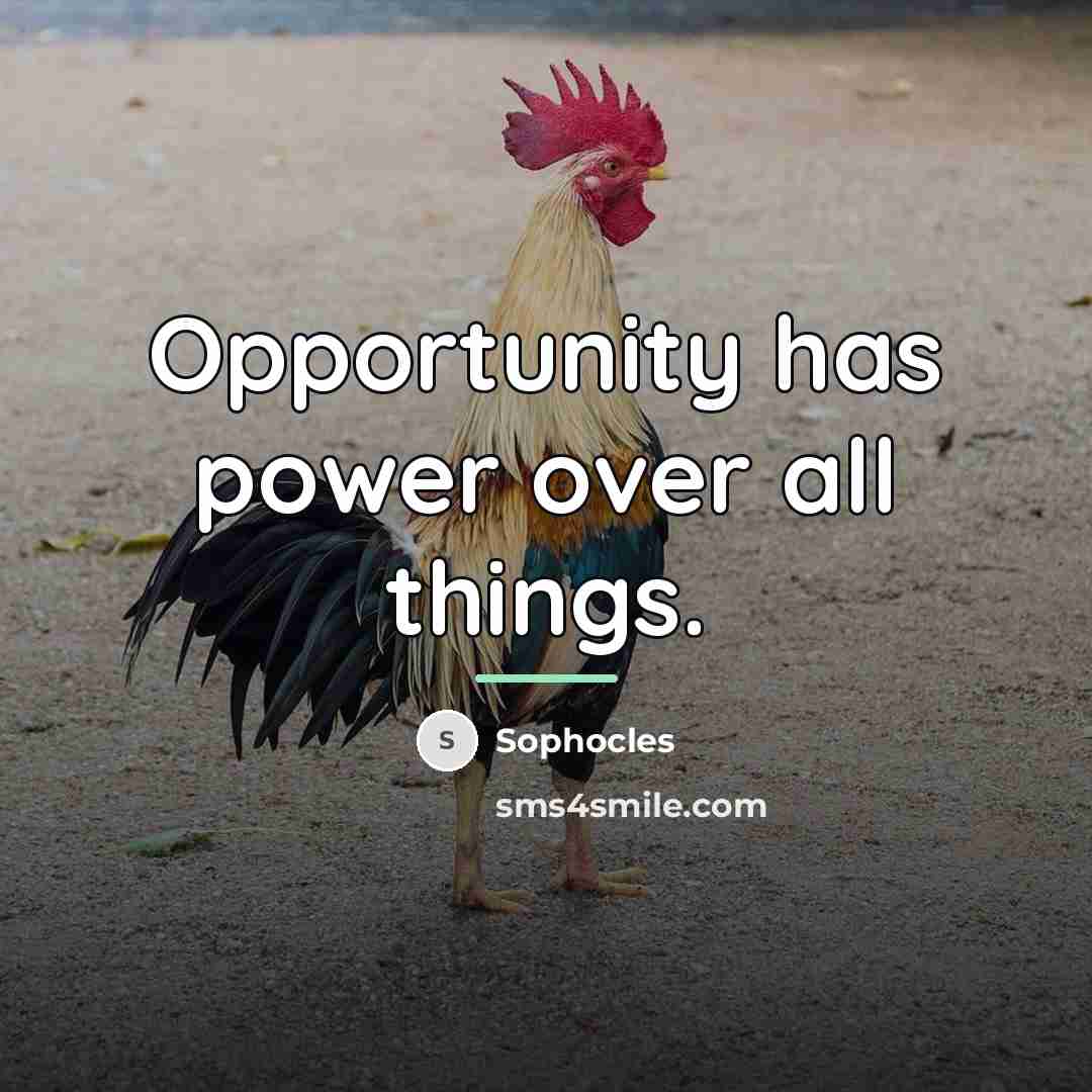 “Opportunity has power over all things.…” quote by Sophocles