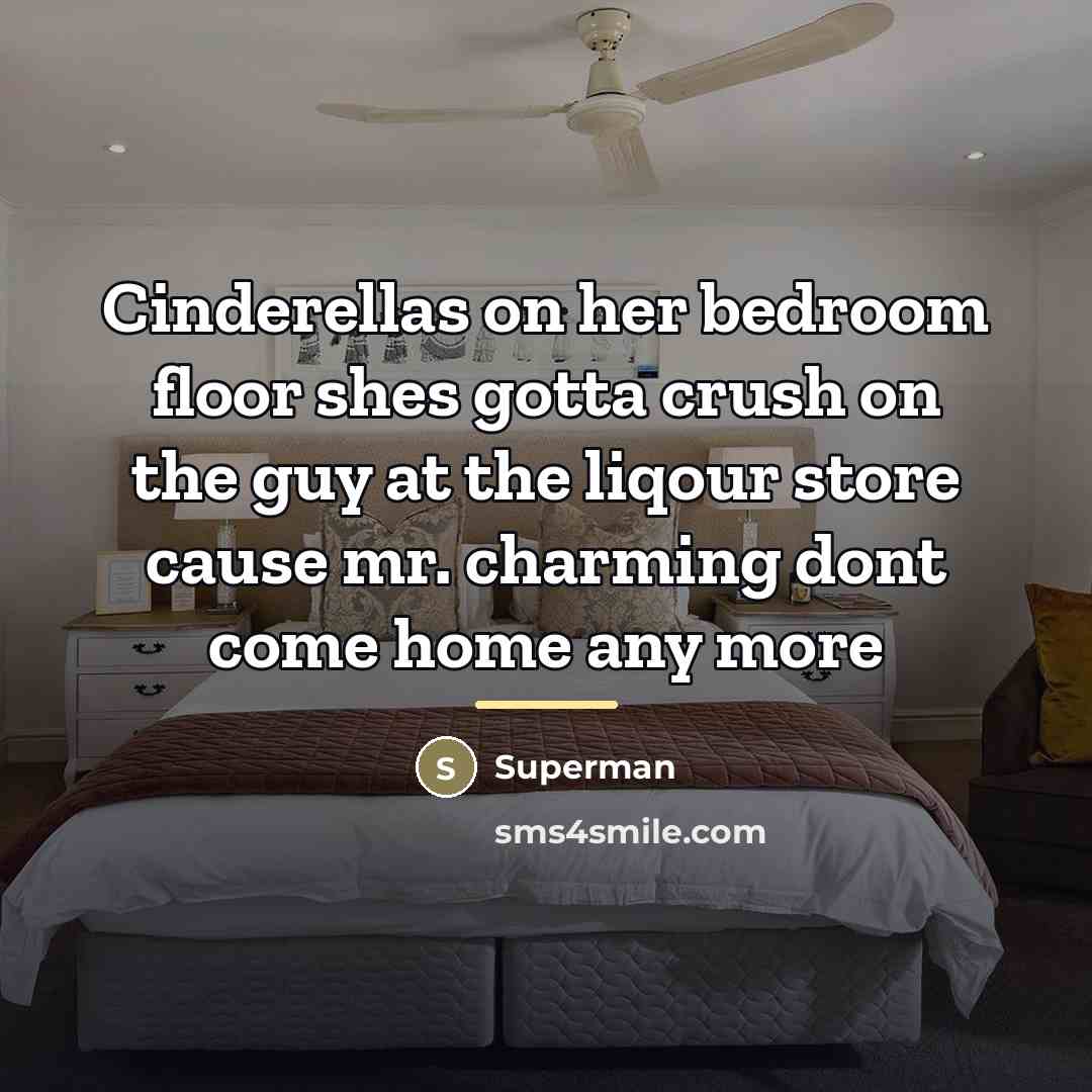 “Cinderellas on her bedroom floor shes gotta crush on the…” quote by Superman