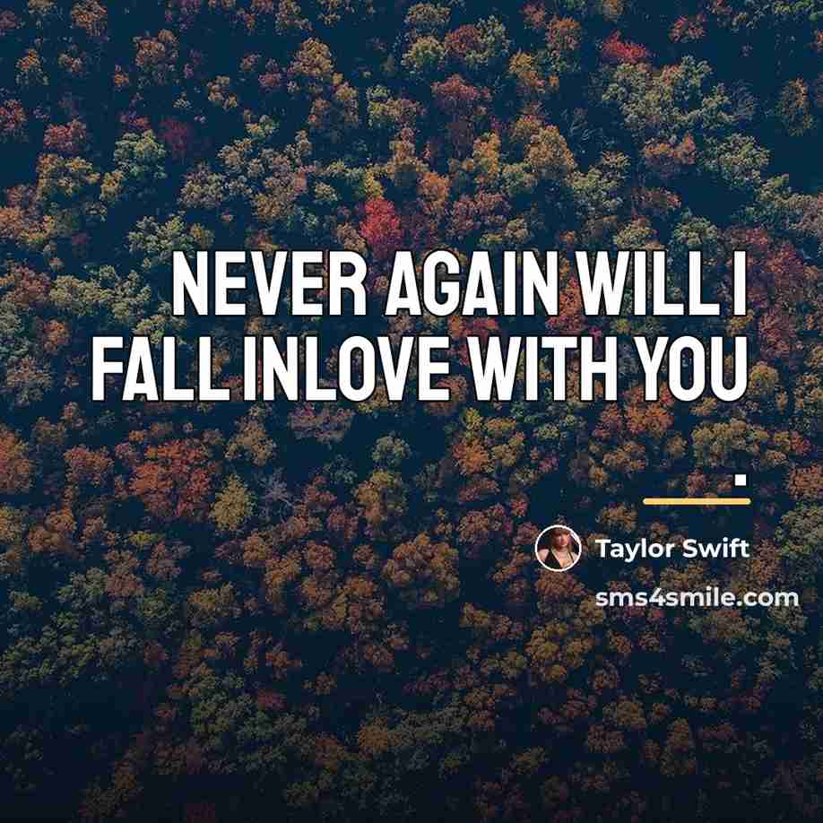 “Never again will I fall inlove with you .…” quote by Taylor Swift