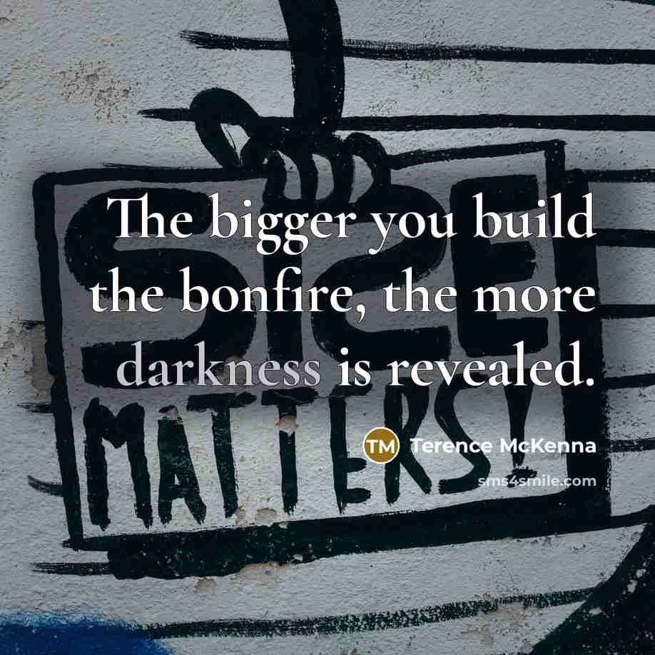 “The bigger you build the bonfire, the more darkness is…” quote by Terence McKenna