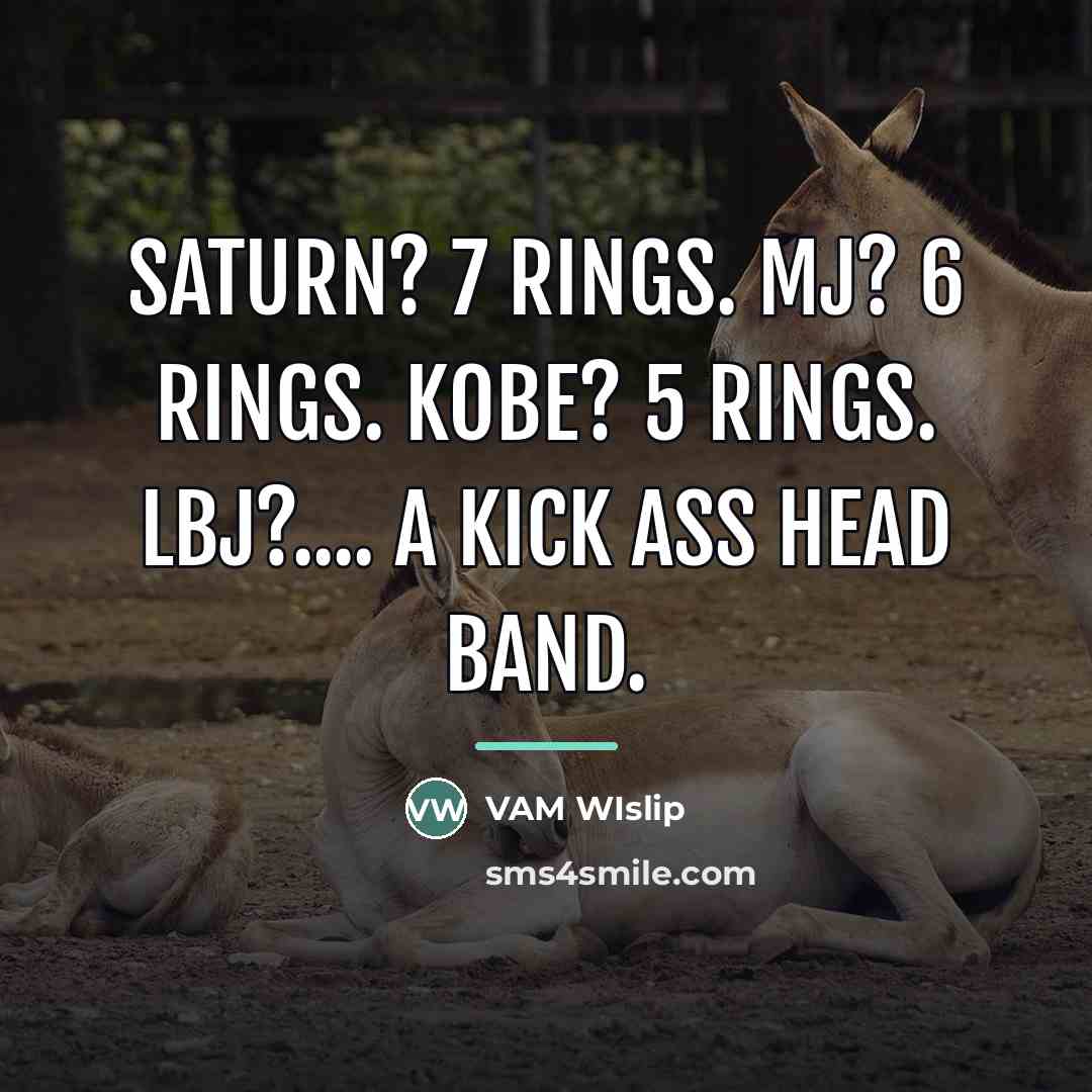 “Saturn? 7 rings. MJ? 6 rings. Kobe? 5 rings. LBJ?....…” quote by VAM WIslip
