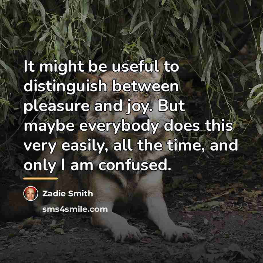 “It might be useful to distinguish between pleasure and joy.…” quote by Zadie Smith