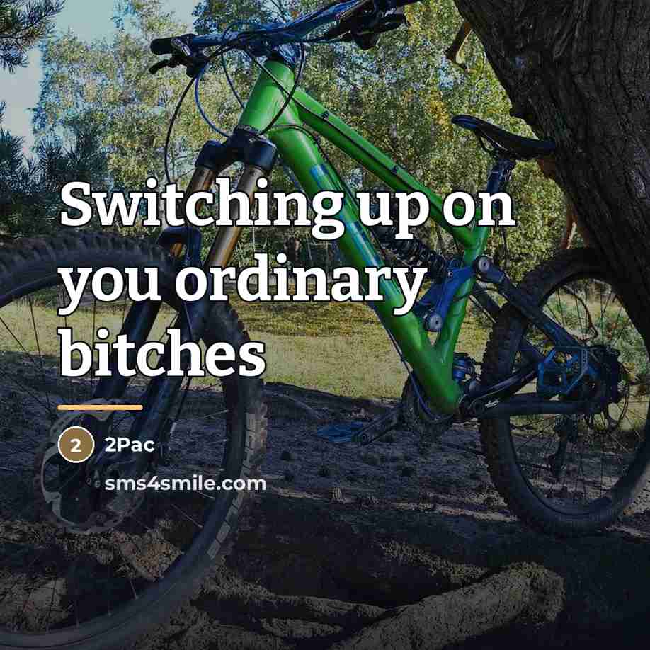 “Switching up on you ordinary bitches…” quote by 2Pac