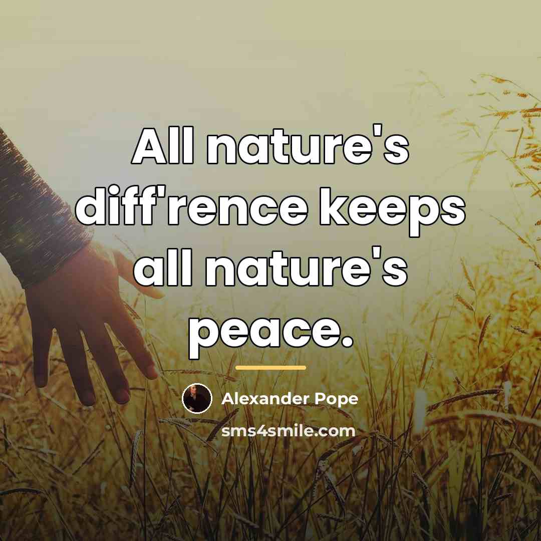 “All nature's diff'rence keeps all nature's peace.…” quote by Alexander Pope