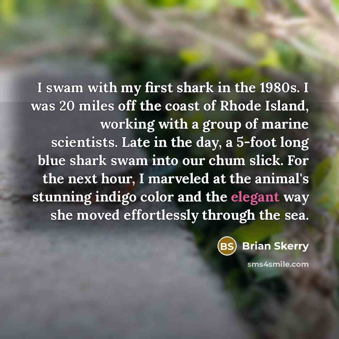 “I swam with my first shark in the 1980s. I…” quote by Brian Skerry