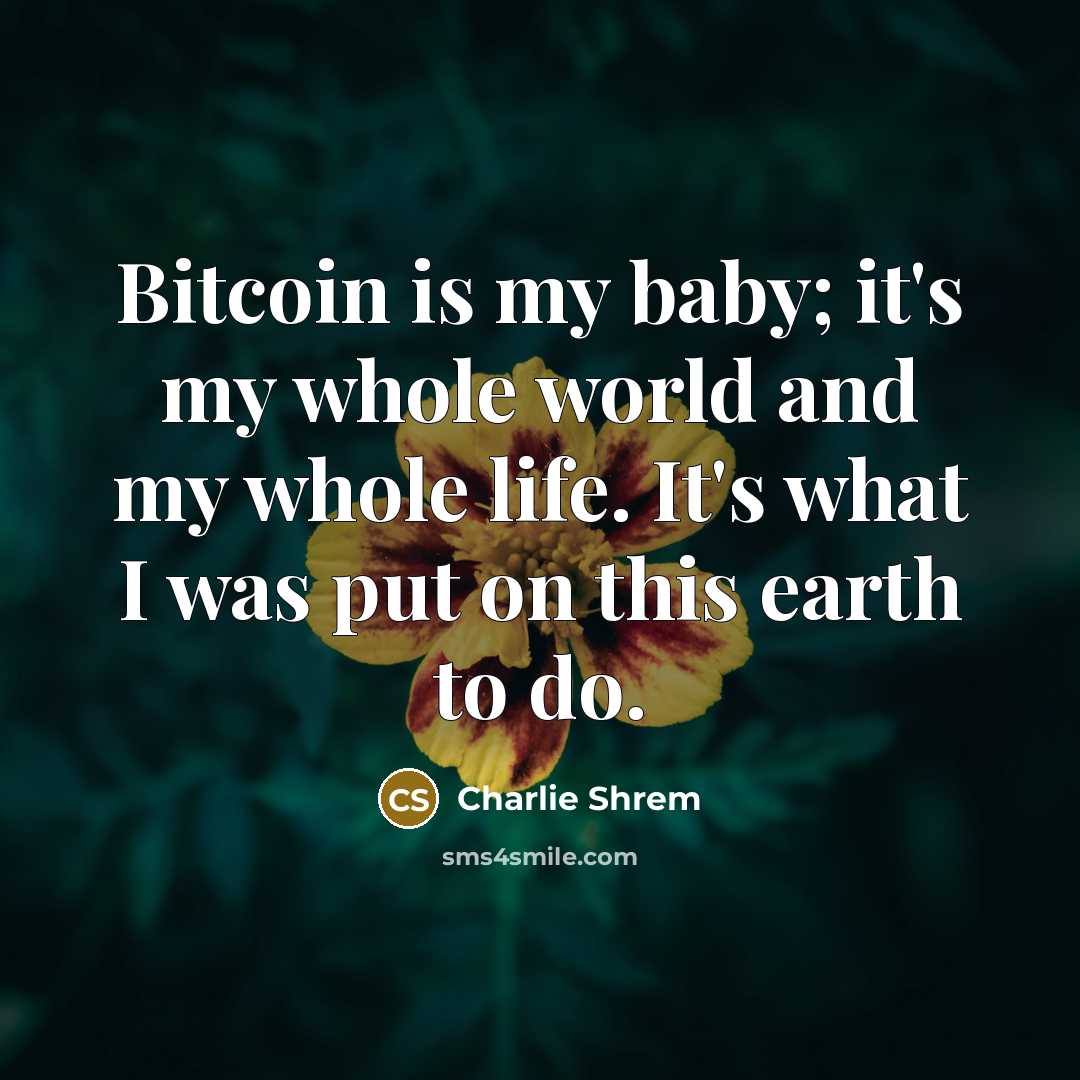 “Bitcoin is my baby; it's my whole world and my…” quote by Charlie Shrem