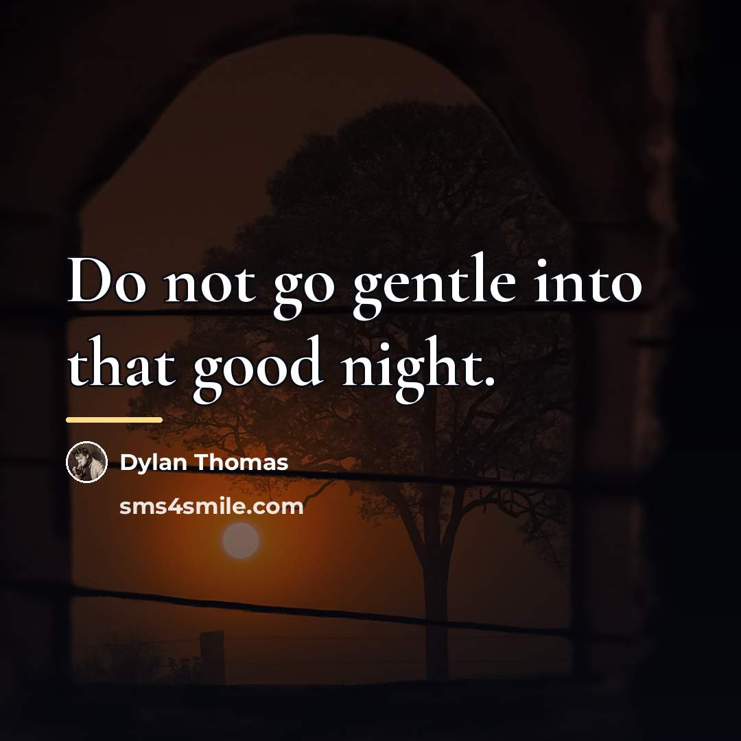 “Do not go gentle into that good night.…” quote by Dylan Thomas