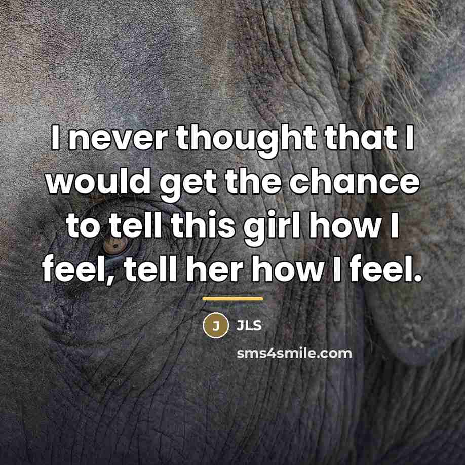 “I never thought that I would get the chance to…” quote by JLS