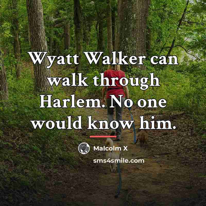 “Wyatt Walker can walk through Harlem. No one would know…” quote by Malcolm X