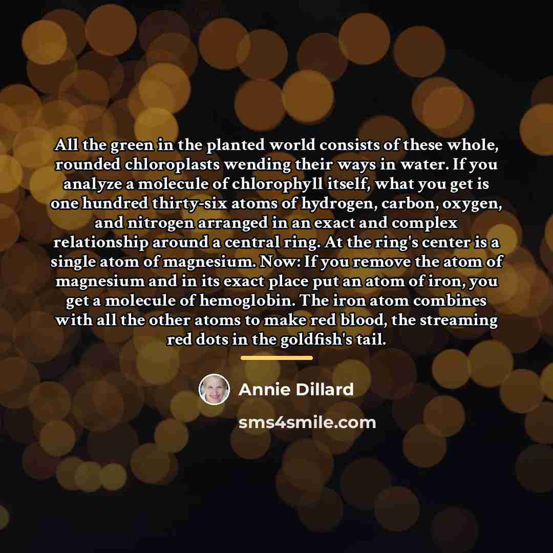“All the green in the planted world consists of these…” quote by Annie Dillard
