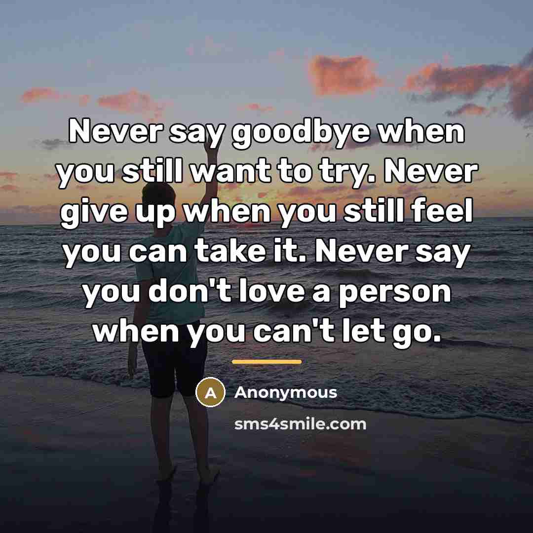 “Never say goodbye when you still want to try. Never…” quote by Anonymous