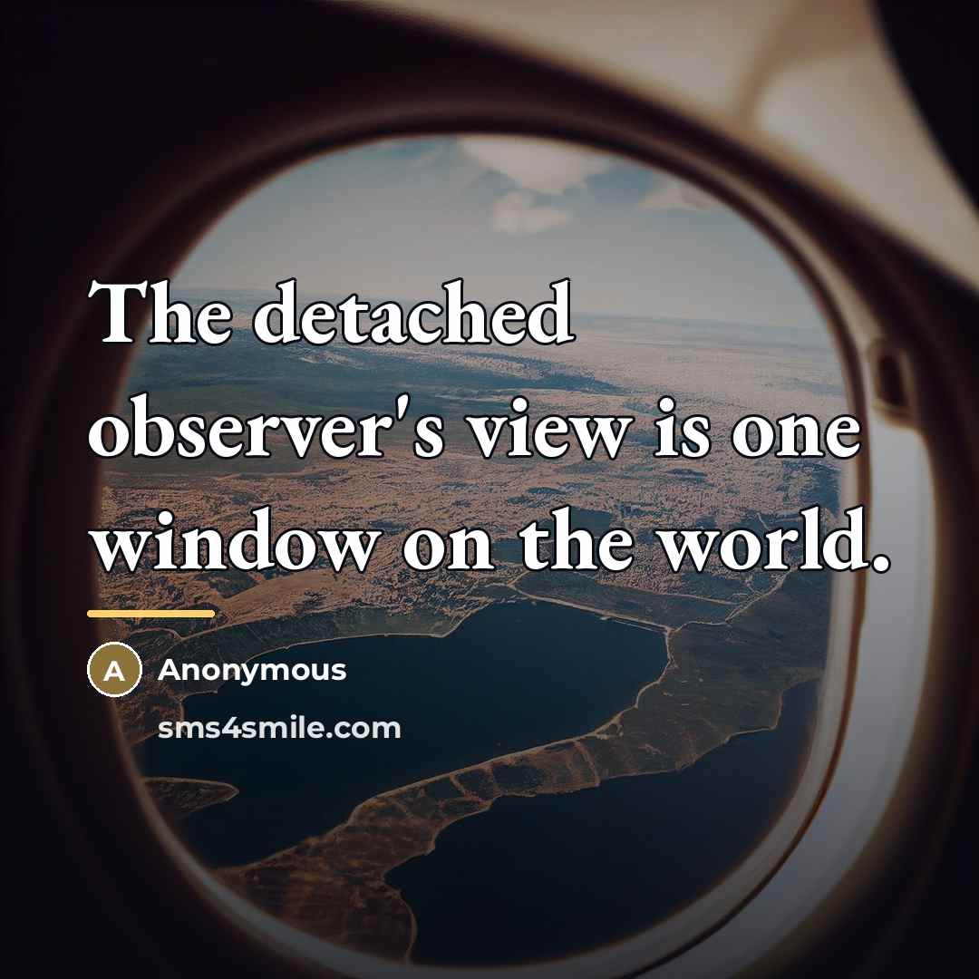 “The detached observer's view is one window on the world.…” quote by Anonymous
