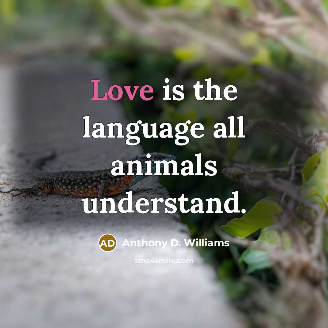 “Love is the language all animals understand.…” quote by Anthony D. Williams