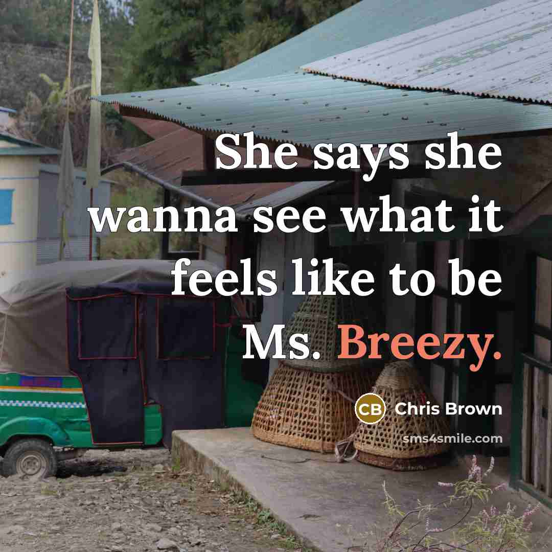 “She says she wanna see what it feels like to…” quote by Chris Brown