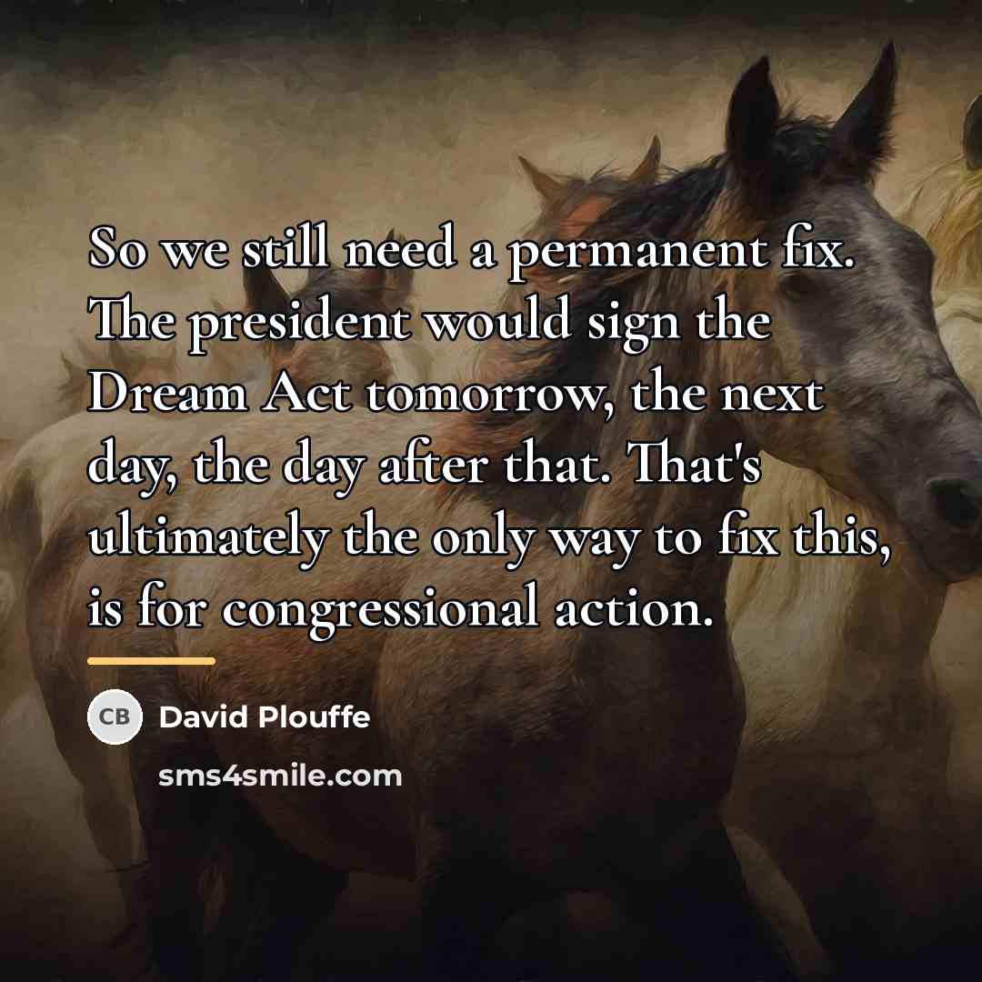 “So we still need a permanent fix. The president would…” quote by David Plouffe