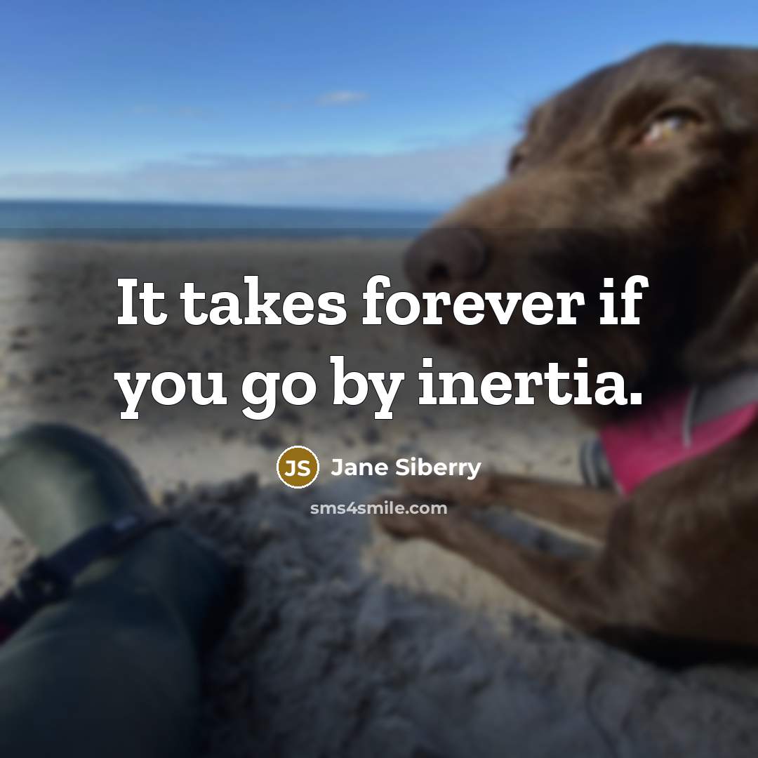“It takes forever if you go by inertia.…” quote by Jane Siberry