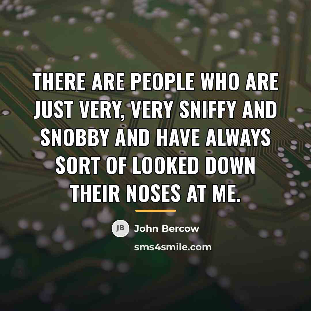 “There are people who are just very, very sniffy and…” quote by John Bercow