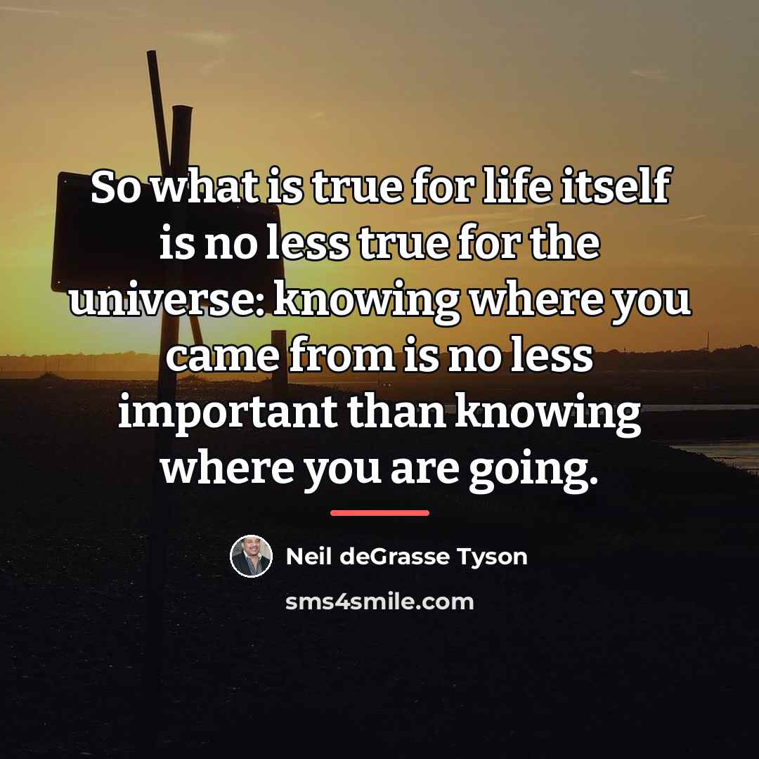 “So what is true for life itself is no less…” quote by Neil deGrasse Tyson