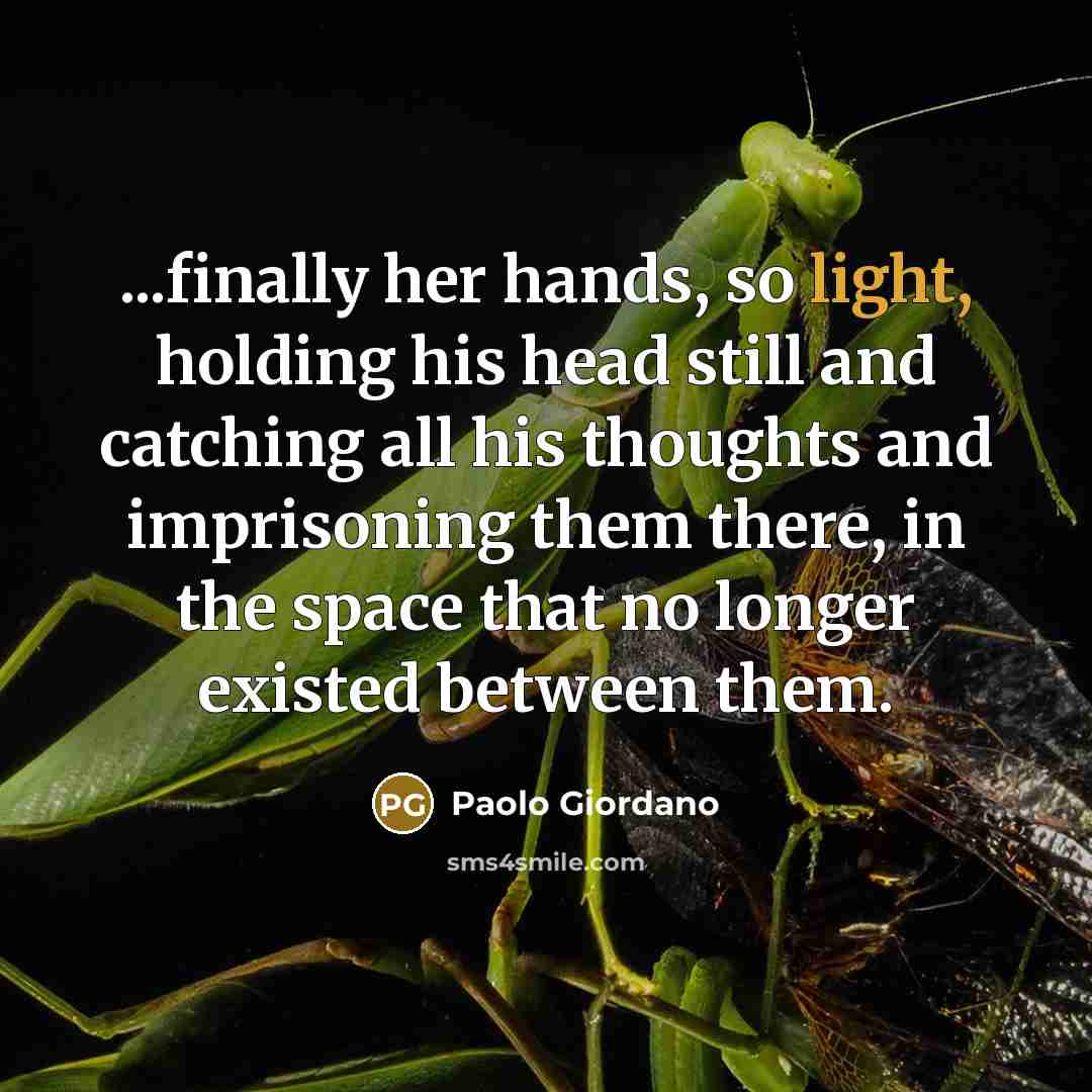 “...finally her hands, so light, holding his head still and…” quote by Paolo Giordano