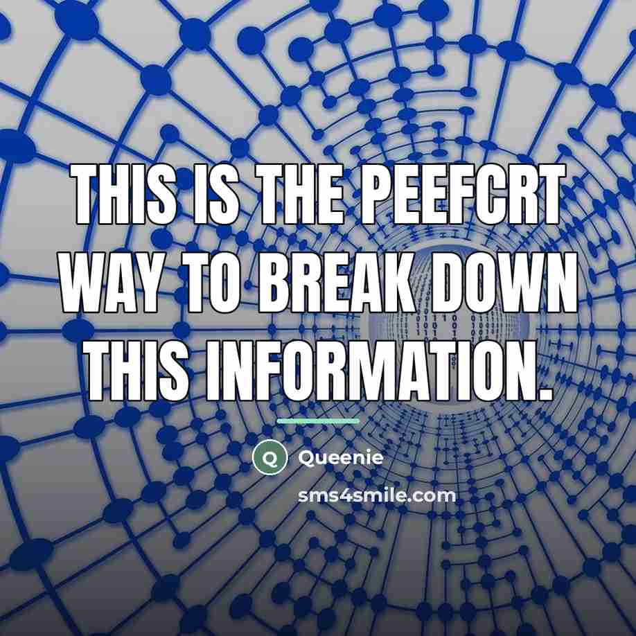 “This is the peefcrt way to break down this information.…” quote by Queenie
