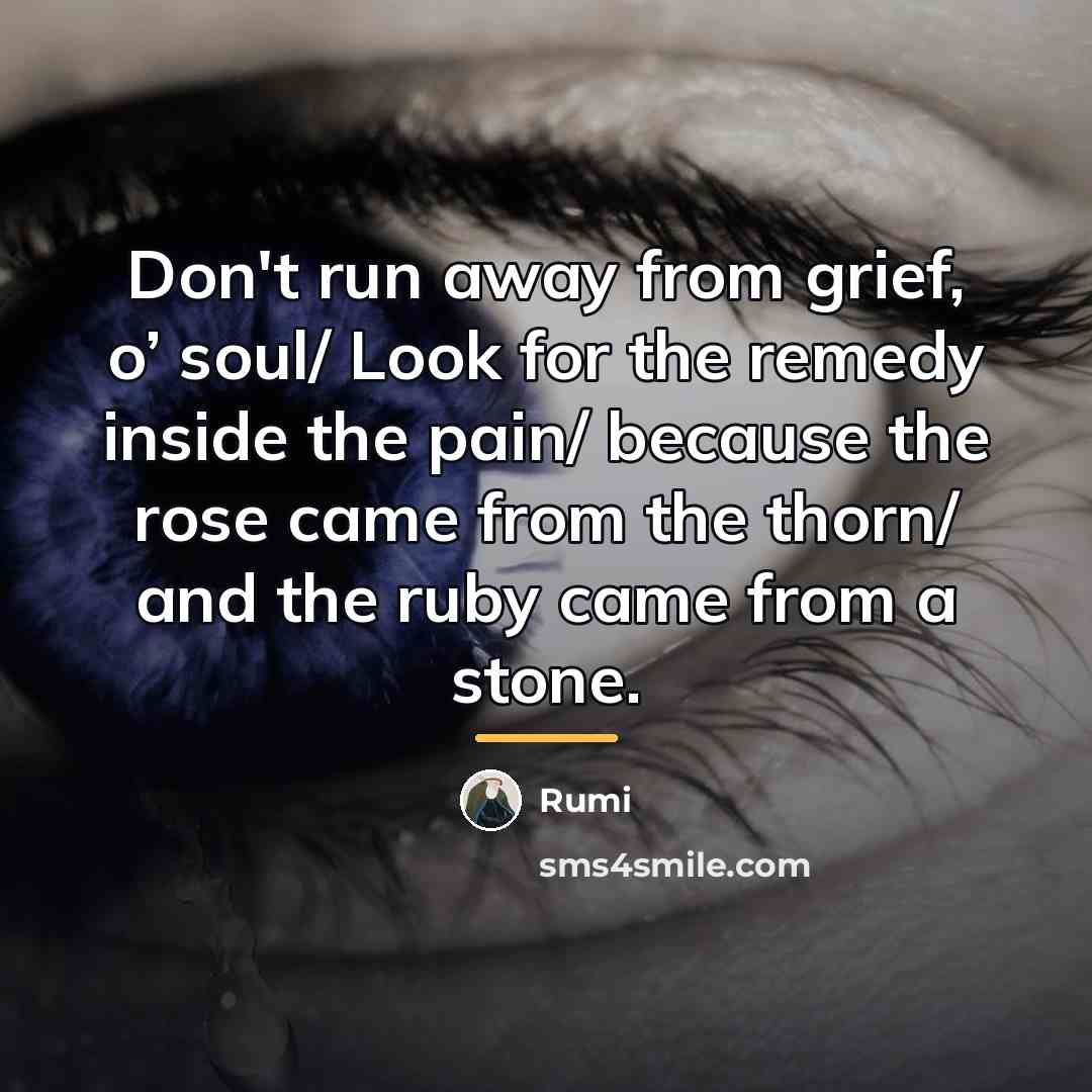 “Don't run away from grief, o’ soul/ Look for the…” quote by Rumi