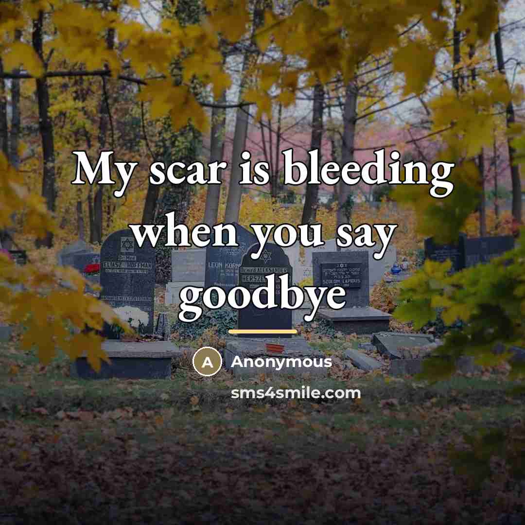 “My scar is bleeding when you say goodbye…” quote by Anonymous