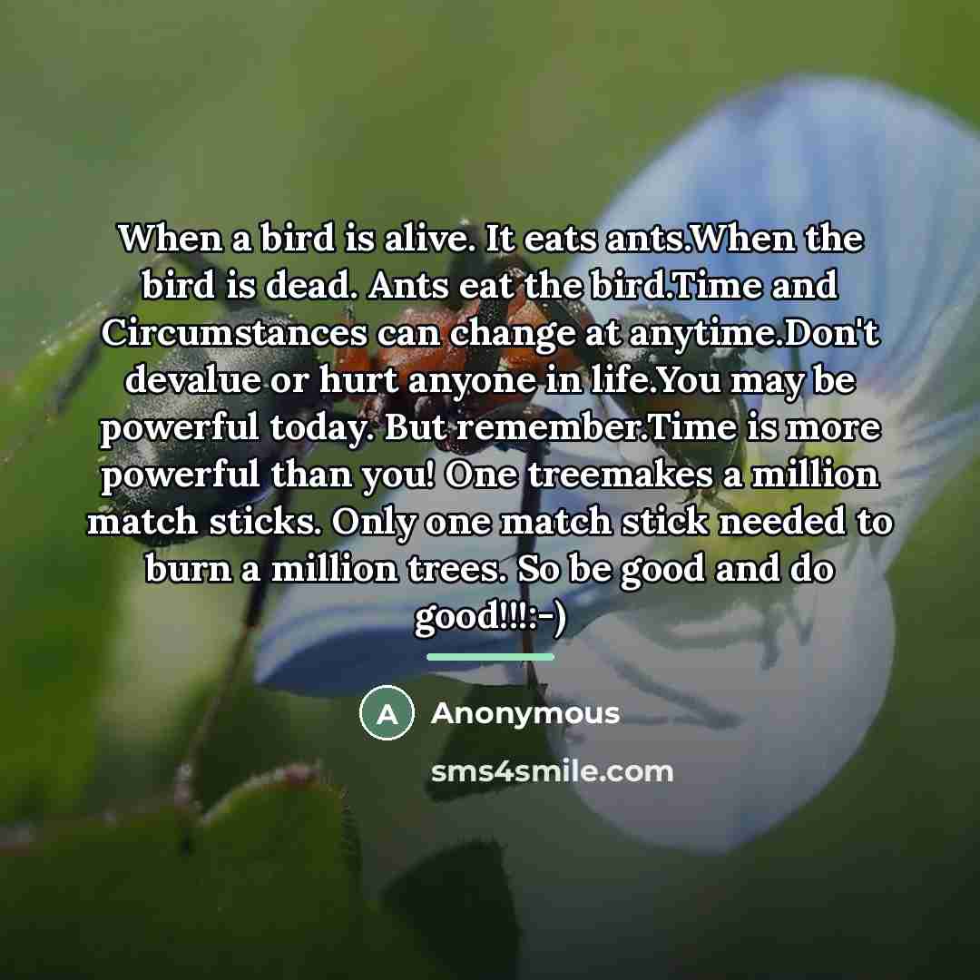 “When a bird is alive. It eats ants.When the bird…” quote by Anonymous