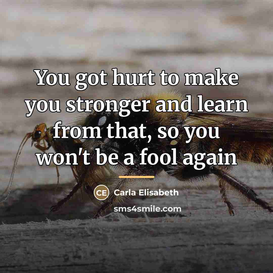 “You got hurt to make you stronger and learn from…” quote by Carla Elisabeth
