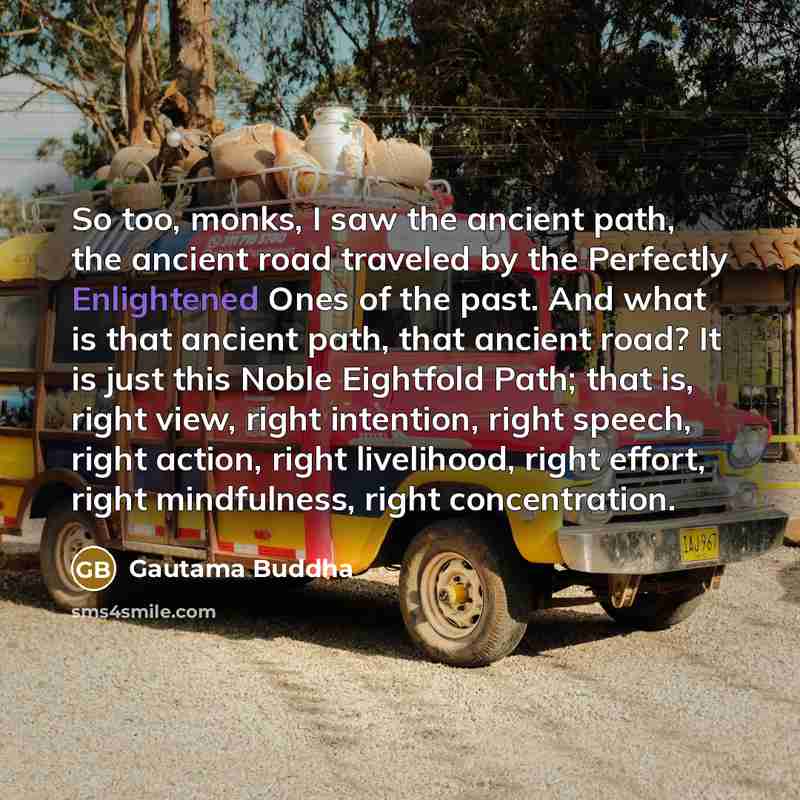 “So too, monks, I saw the ancient path, the ancient…” quote by Gautama Buddha