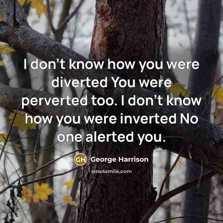 “I don't know how you were diverted You were perverted…” quote by George Harrison