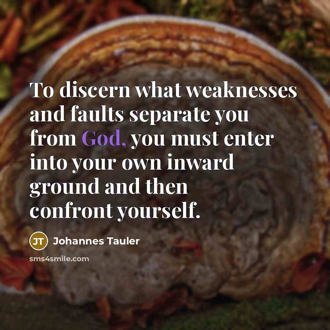 “To discern what weaknesses and faults separate you from God,…” quote by Johannes Tauler