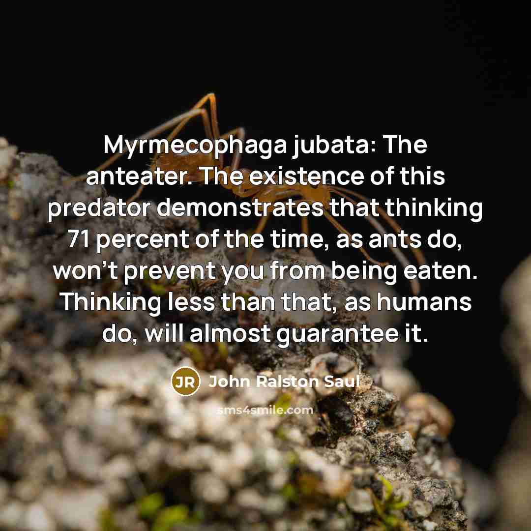“Myrmecophaga jubata: The anteater. The existence of this predator demonstrates…” quote by John Ralston Saul
