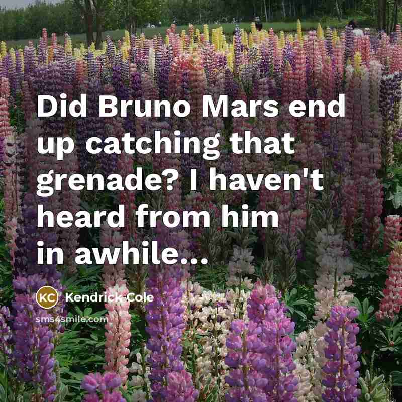 “Did Bruno Mars end up catching that grenade? I haven't heard from him in awhile…” quote by Kendrick Cole